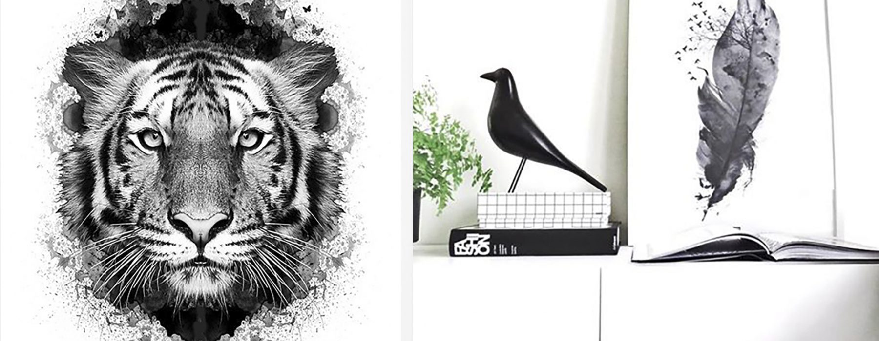 Arrogante Rasmus …