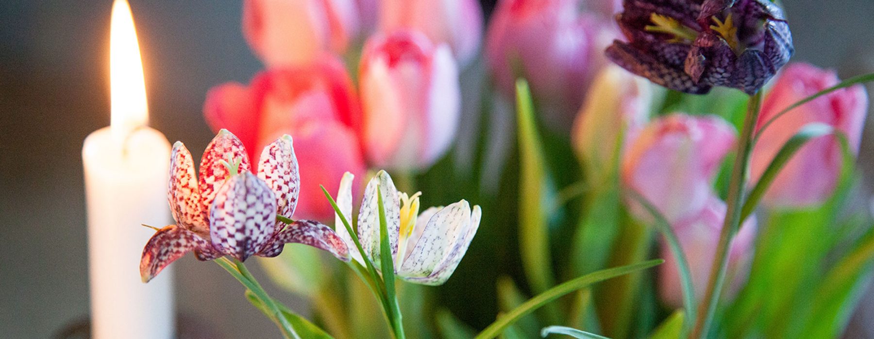 Løft dit humør – inviter foråret indenfor