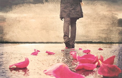 Når de går – lad dem gå .