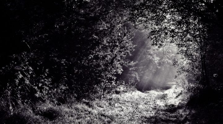 Fordelene ved skyggearbejde er… .