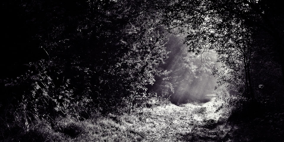 Fordelene ved skyggearbejde er… .