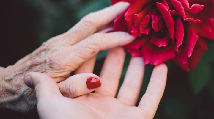 JURA: Sådan her er du stillet økonomisk, hvis DU bliver den efterladte…