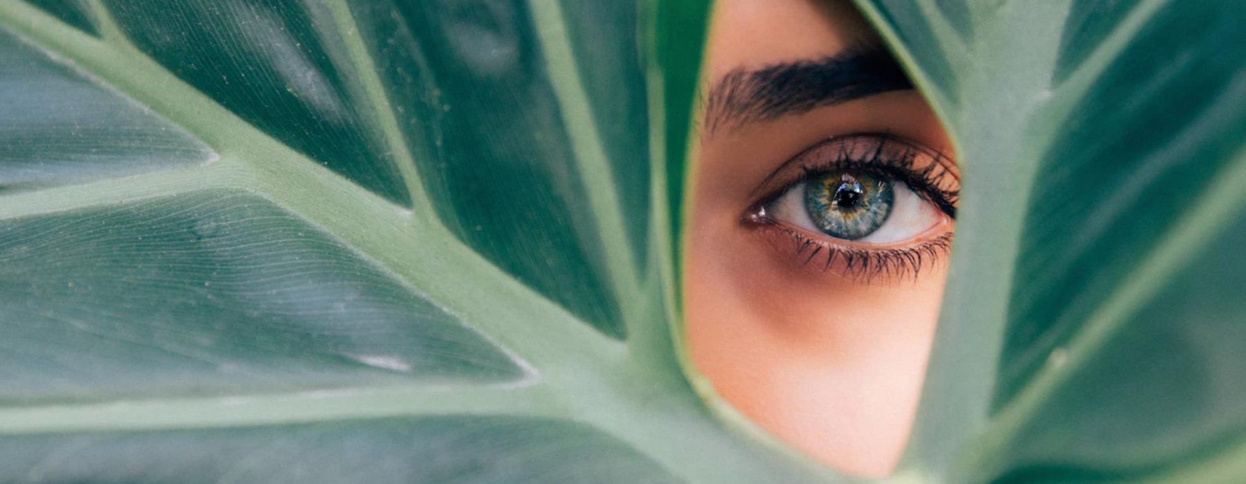 Fokus på det der virker fremfor det der ikke virker…