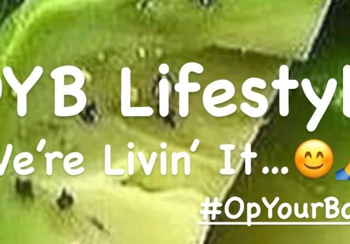 Hvad er OYB Lifestyle?