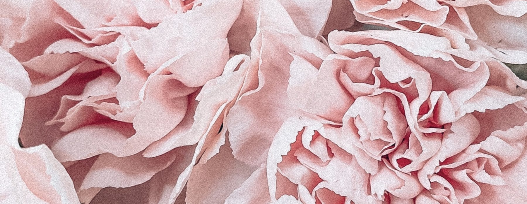 Modul 6 Oppeguiden eksamen – Hold 6